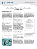 Newsletter January 2009